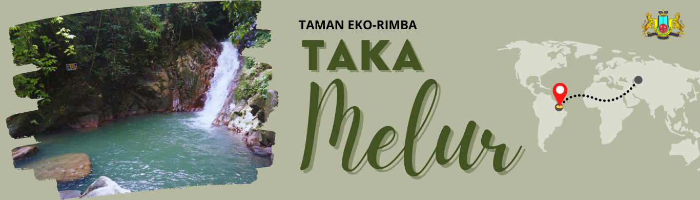 banner taka melur
