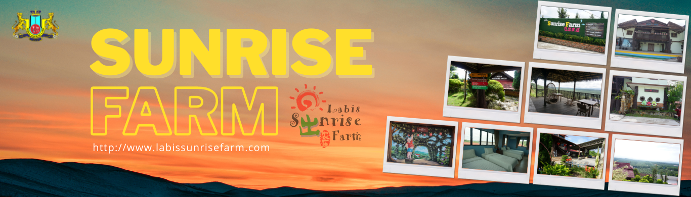 BANNER SUNRISE 2022